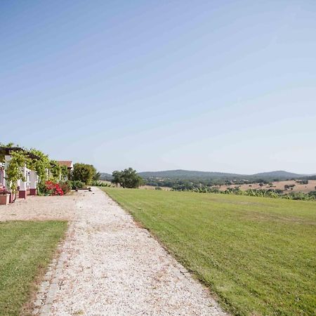 Вилла Stunning Mansion In Sao Cristovao Монтемор-у-Нову Экстерьер фото